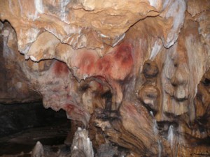Visite approfondie @ Nestploria / grottes de Gargas