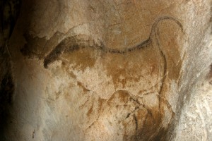Nocturne : les animaux de Gargas @ Nestploria / grottes de Gargas
