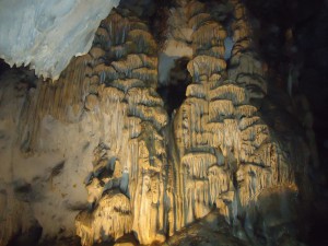 Visite approfondie @ Nestploria / grottes de Gargas