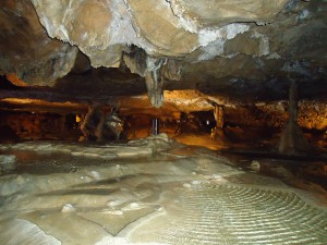 Visite approfondie @ Nestploria / grottes de Gargas