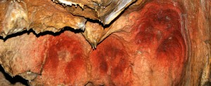 Visite approfondie @ Nestploria / grottes de Gargas