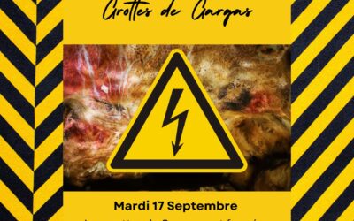 Interruption des visites des grottes de Gargas, mardi matin 17 septembre 2024 pour travaux de maintenance