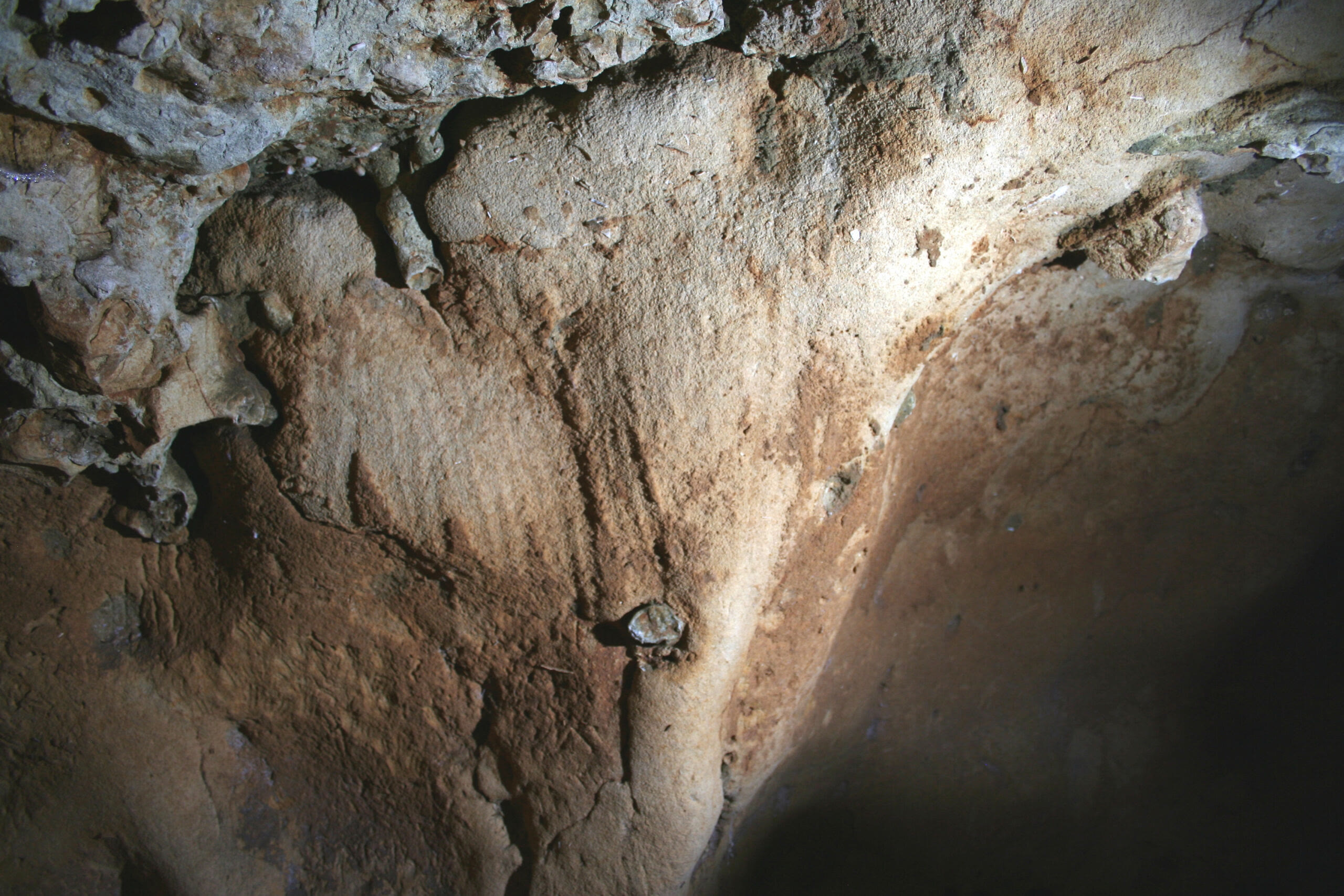 Panneau triangulaire tracé sur la paroi de tuffeau de la grotte de la Roche-Cotard, attribué à Néandertal (Langeais, Touraine)